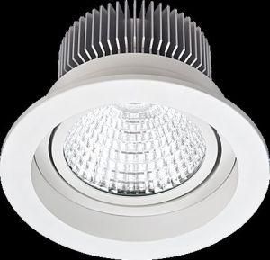 Ceiling Recessed LED COB Aluminum Spot Light (SD8241)