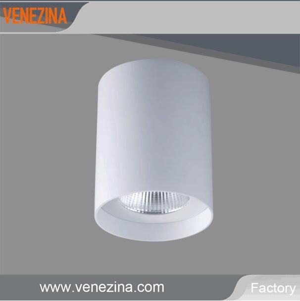 Pendant Installation COB 20W/25W High Power Indoor LED Downlight