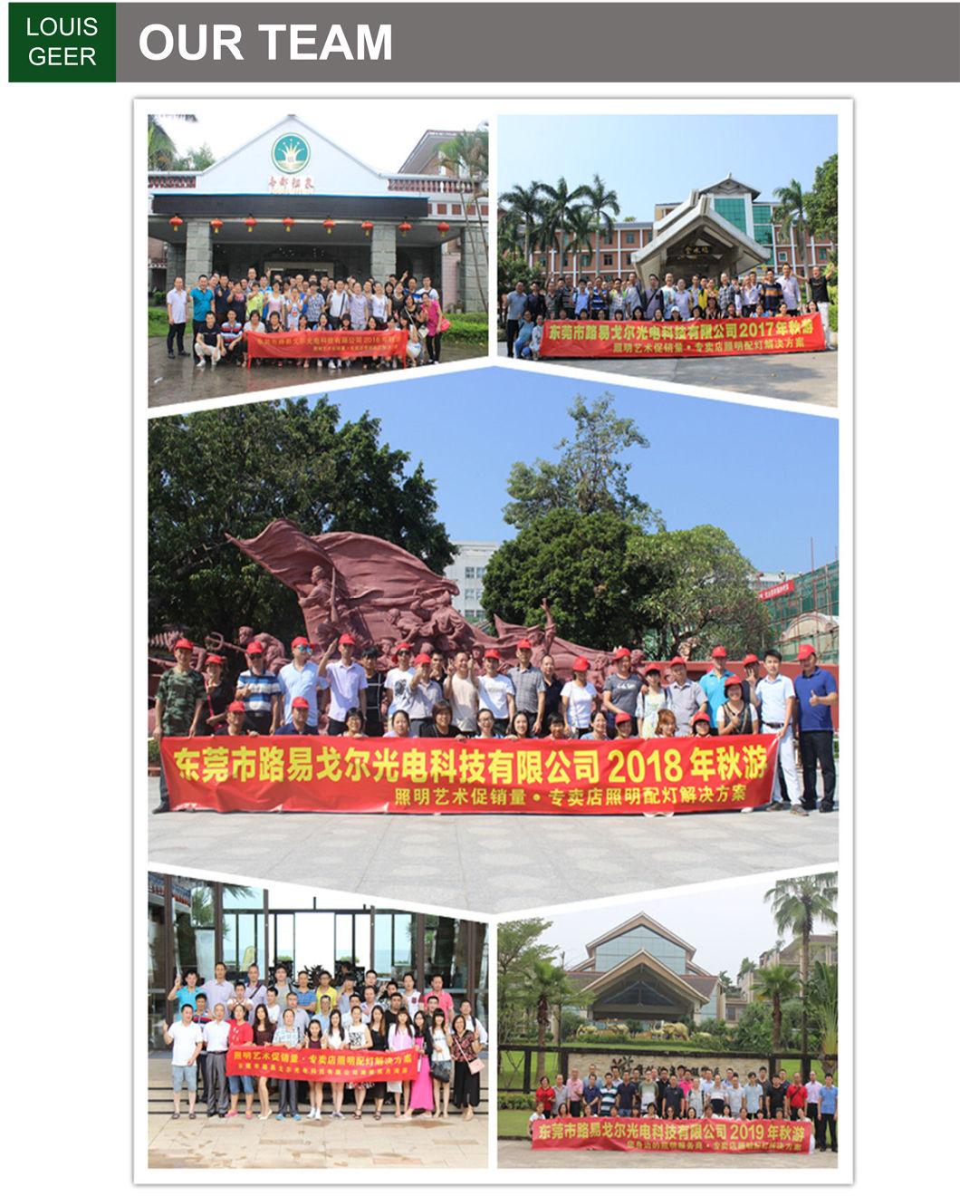 LED Lighting Track with Track Rail for Museum Spot 2700K 3000K 5000K Track Foucus Lighting LED Tube Light