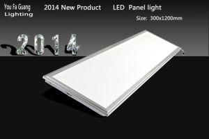 3 Years Warranty CE RoHS 300X1200mm RGB Panels for Indoor Lighting