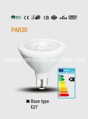 PAR30 LED Bulb