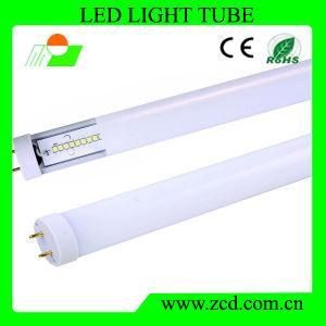 T8 LED Tube