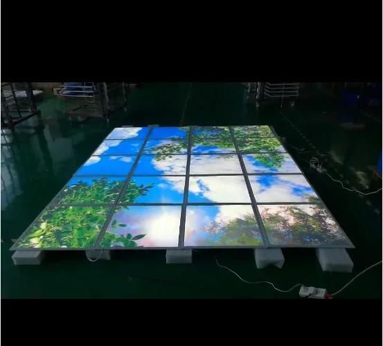 Skylenses Customed Prined LED Panel Light Blue Sky/White Cloud Panel