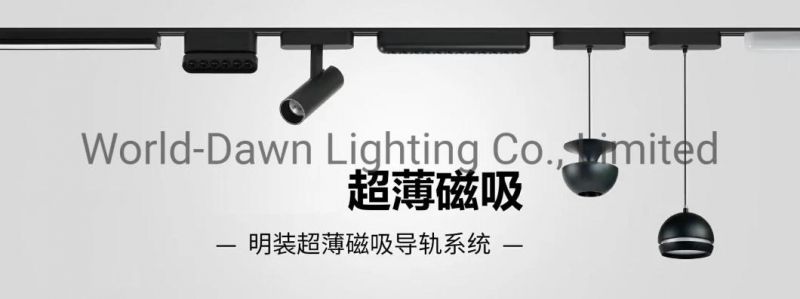 Elegant Pendant Downlight Linear LED Ceiling Spot Light with CRI 95 Ultra Slim Magnetic LED Track Light