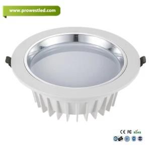 10W/15W/20W Professional Interior LED Ceiling Down Light