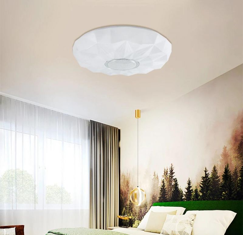 20W 220V Surface Drop House Price Shop Low Ceiling Light