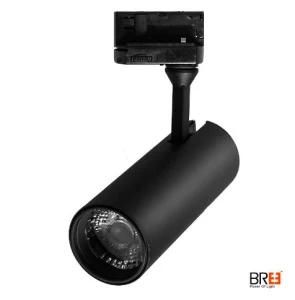 Original Citizen COB Anti-Glare 20W LED Track Lighting with Global Adapter