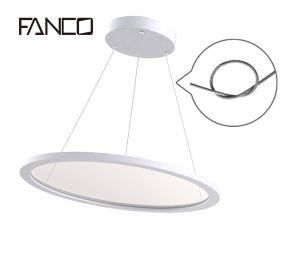 Round Panel Light Tuya Smart Panel Light Ultra Slim CCT Change&amp; Dimmable Tuya Driver Zigbee/Blue Tooth Support