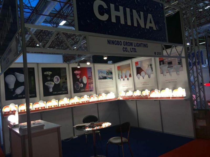 China Factory E14 LED Light 3.8W Indoor Decoration LED Bulb SMD2835 Energy Saving Light