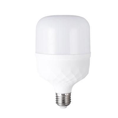 China LED Bulb Factory Manufacturer High Power 10000K LED Bulb E27 30 Watt