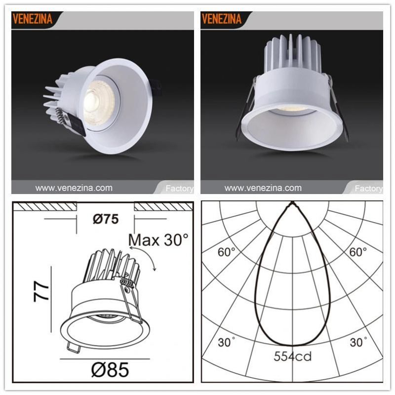 High Efficiency COB LED Source Recessed Spot Down Light-R6866