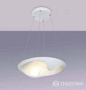 Modern LED Pendant with Whole Die Casting Aluminum 1702b-1