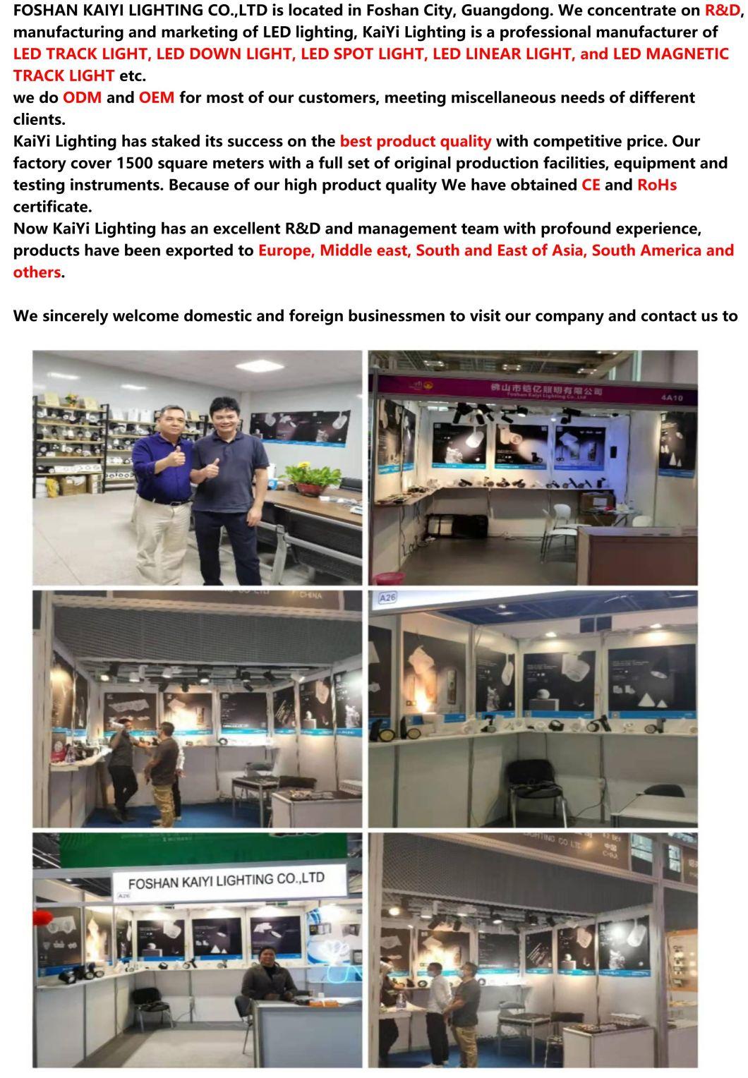 LED Track Spot Light Creative Chandelier Aluminum LED Track Light for Commercial Lighting Shop Restaurant Office Tracklight