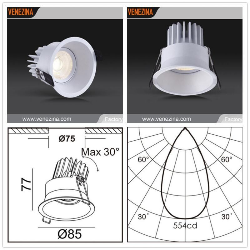 R6866 6W10W Cast Aluminum COB LED Adjustable Indoor LED Spotlight