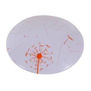 CE Approved LED Ceilinglight (SMR30-24W)
