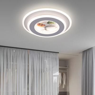 Dafangzhou 118W Light China Silver Ceiling Lights Factory LED Outdoor Lighting White Frame Color LED Ceiling Light Applied in Balcony
