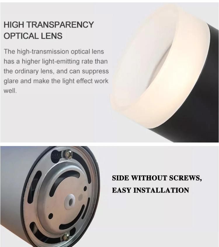 Indoor Exterior Architectural Commercial Smart Housing Adjustable COB Surface Mounted LED Spot Downlight