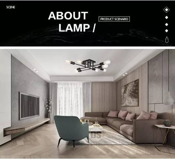 New Nordic Modern Iron Creative Design Living Room Bedroom Home Light Ceiling Lamp