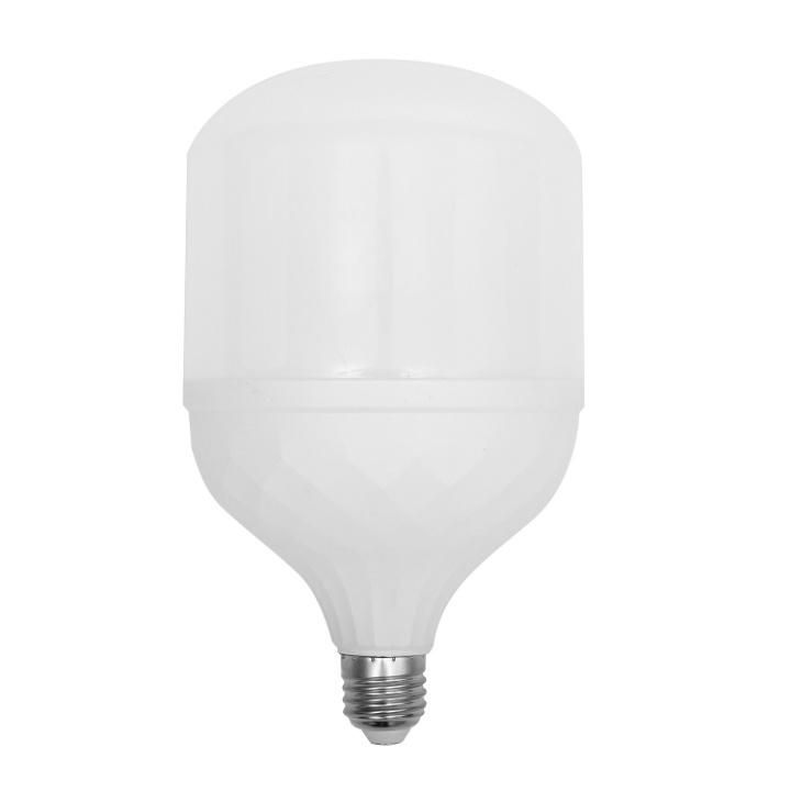 European Hot Sell Aluminum Coating Project 30W 40W 50W 60W LED T Bulb