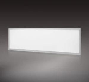 Edge-Lit LED Panel Light 300*1200mm
