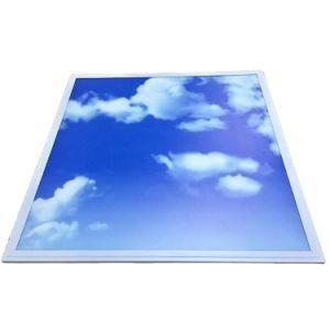 Recessed Panel Light Blue Sky Ceiling Skylight LED Lighting Panel for Hospital