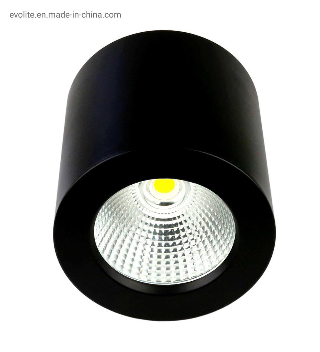Dali Triac 0-10V Dimming LED Surface Mounting Downlight LED Ceiling Light LED Spot Light LED Light