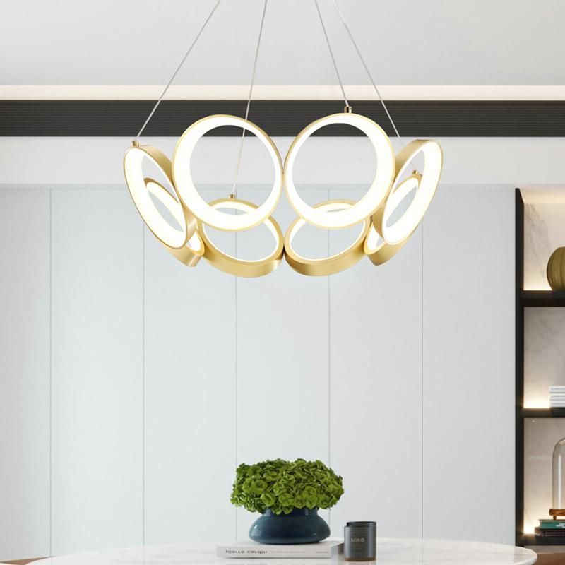 Modern Nordic Ring Lamp Circle Creative LED Chandelier Pendnat Light for Living Room