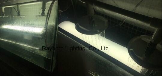 110 Lm/W CRI>80 30W LED Tri-Proof Light for Garage Carpark Lighting