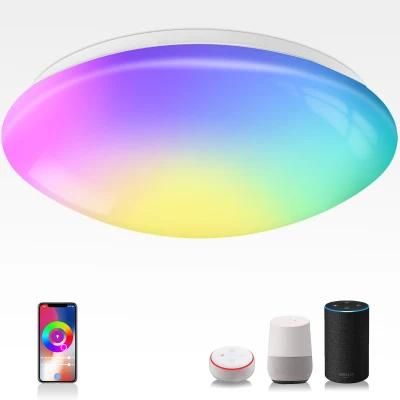 LED Smart Ceiling Smart Home Lighting Tuya WiFi Smart LED Ceiling Light