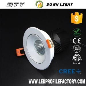 20 Watt 30 Watt LED Downlight LED RGBW Downlight with 50mm Cut out UL LED Downlight Spot