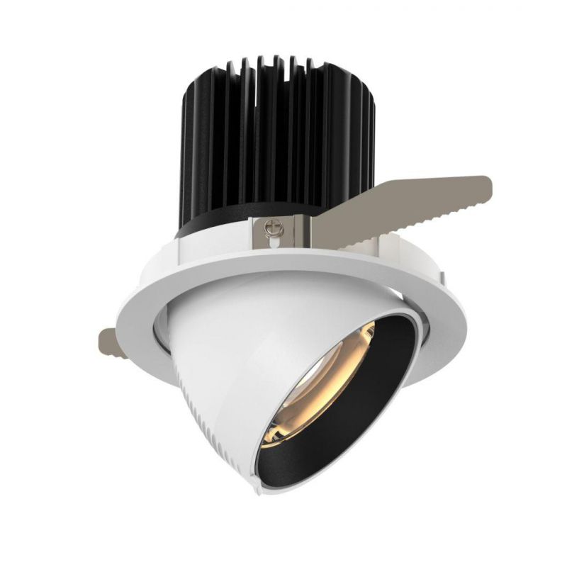 High Lumen COB Recessed Ceiling Adjustable Downlight Round 30W Down Lights