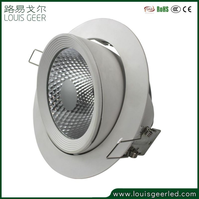 Adjustable Angle 30W Downlight LED Ceiling Surface Mounted Light with Embedded COB LED Downlight