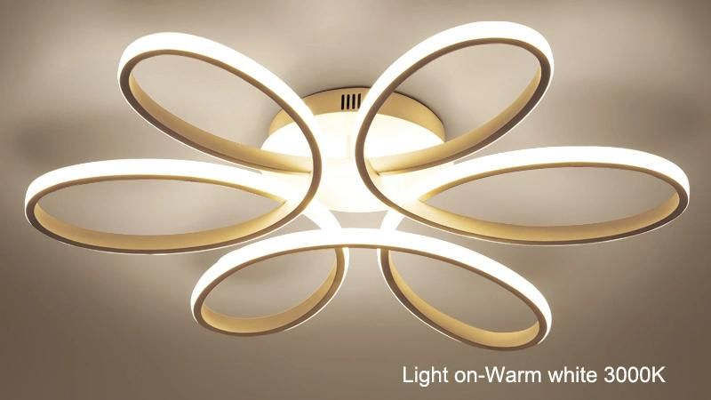 Indoor Integration Flower Design Modern Acrylic LED Ceiling Light