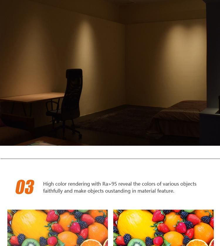 Manufacture High Quality Small Size Waterproof LED Ceiling Light Downlight