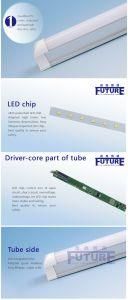 6000k 900mm T8 LED Glass Tube with CE RoHS
