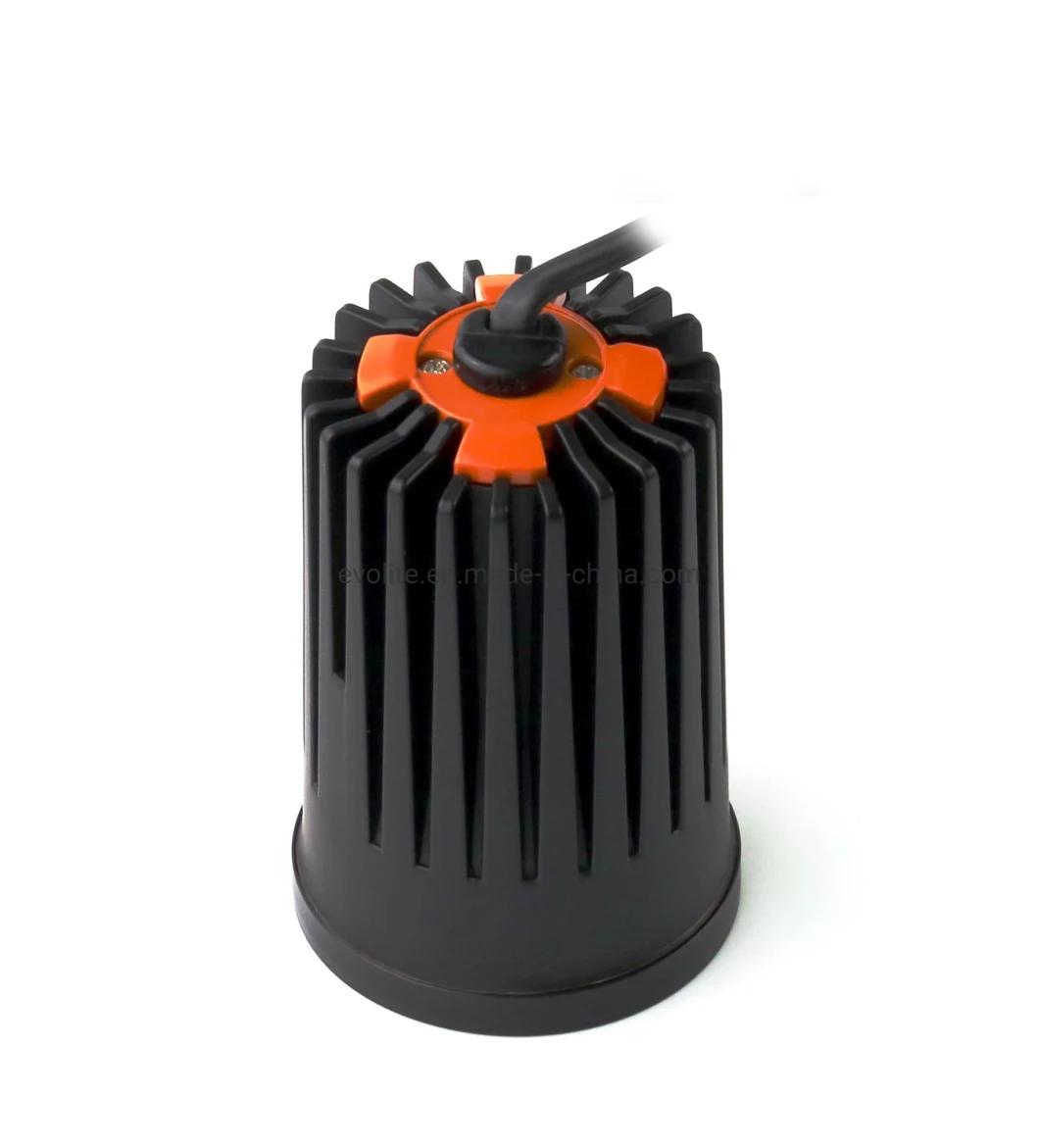 New Products 7 Degree Beam Angle LED COB Downlight MR16 COB LED Downlight Module