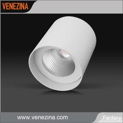 Wall Mount Interior Light Fixtures LED COB Ceiling Light 50 Degree LED Downlight