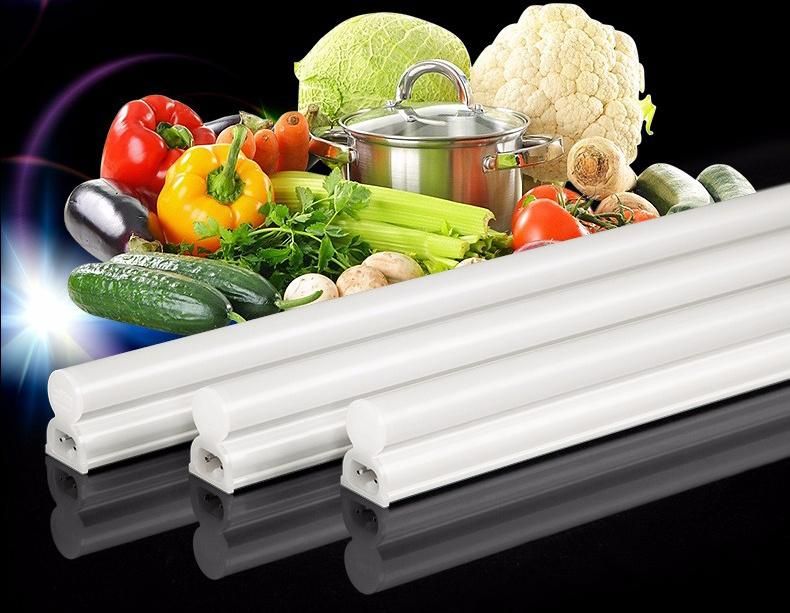 0.3m T5 LED Tube Light 5W