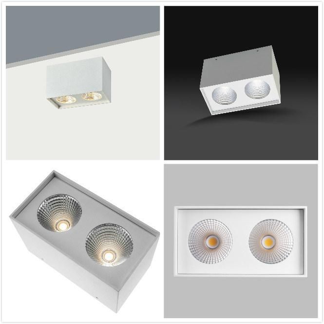 Double Source IP44 COB LED Surface Mounted Light