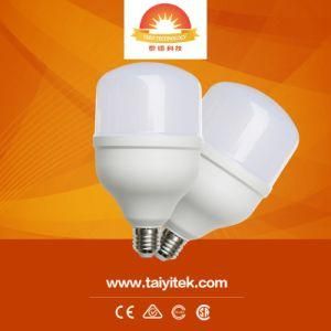 OEM 2018 Newest LED Lighting Top Quality Wholesale T80 LED Bulb