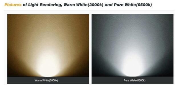 Wholesale Filament LED G80 Bulb for Promotion