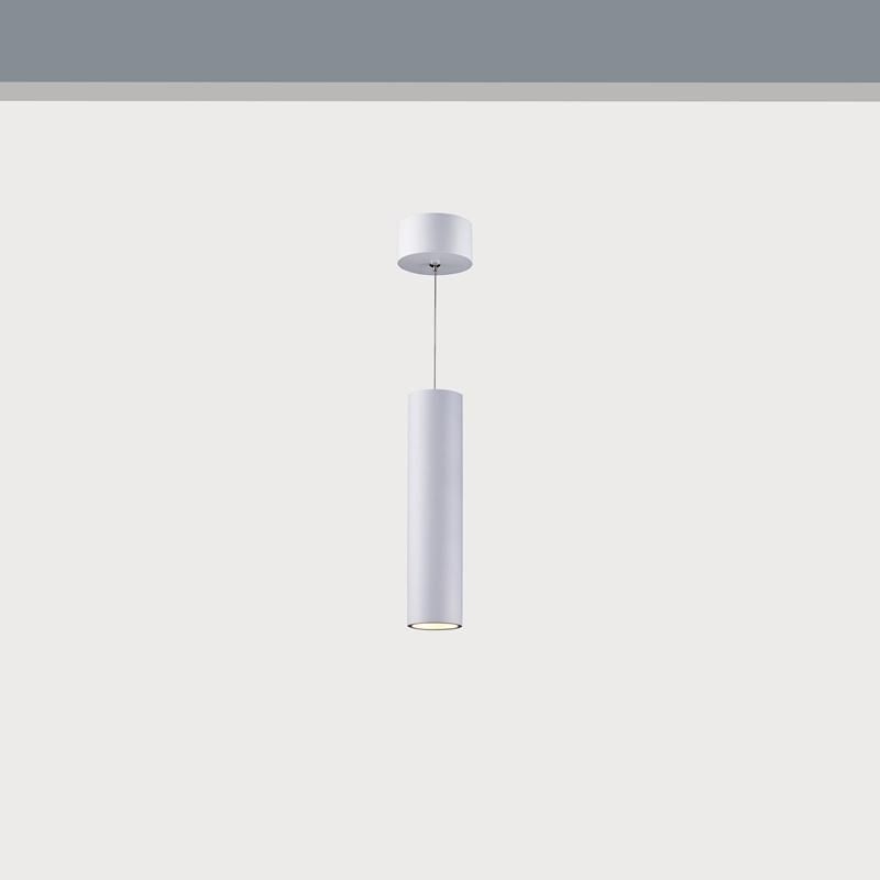 P6017 Pendant LED Downlight Decorative Spotlight LED Light Pendant Lights