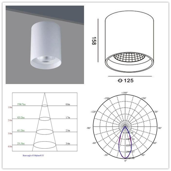 Modern Original Style 20W/25W High Power LED Surface-Mounted Downlight