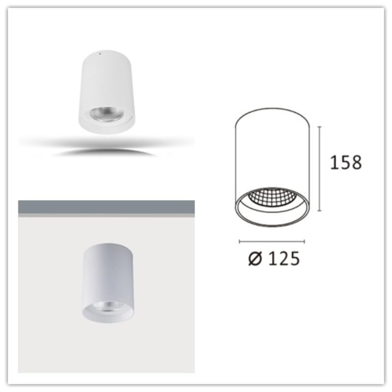 High Watt High Brightness COB LED Mount Ceiling Light 50 Degree Interior LED Ceiling Light