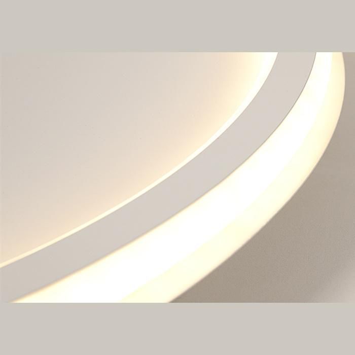 Circle Shape Living Room, Bedroom Ceiling Lighting with LED