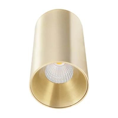 2020 High Quality Brass Interior LED Ceiling Lamp Ce RoHS COB 18W Spotlight for Hotel