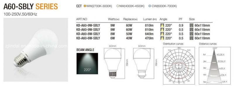 A60 LED Light Bulb