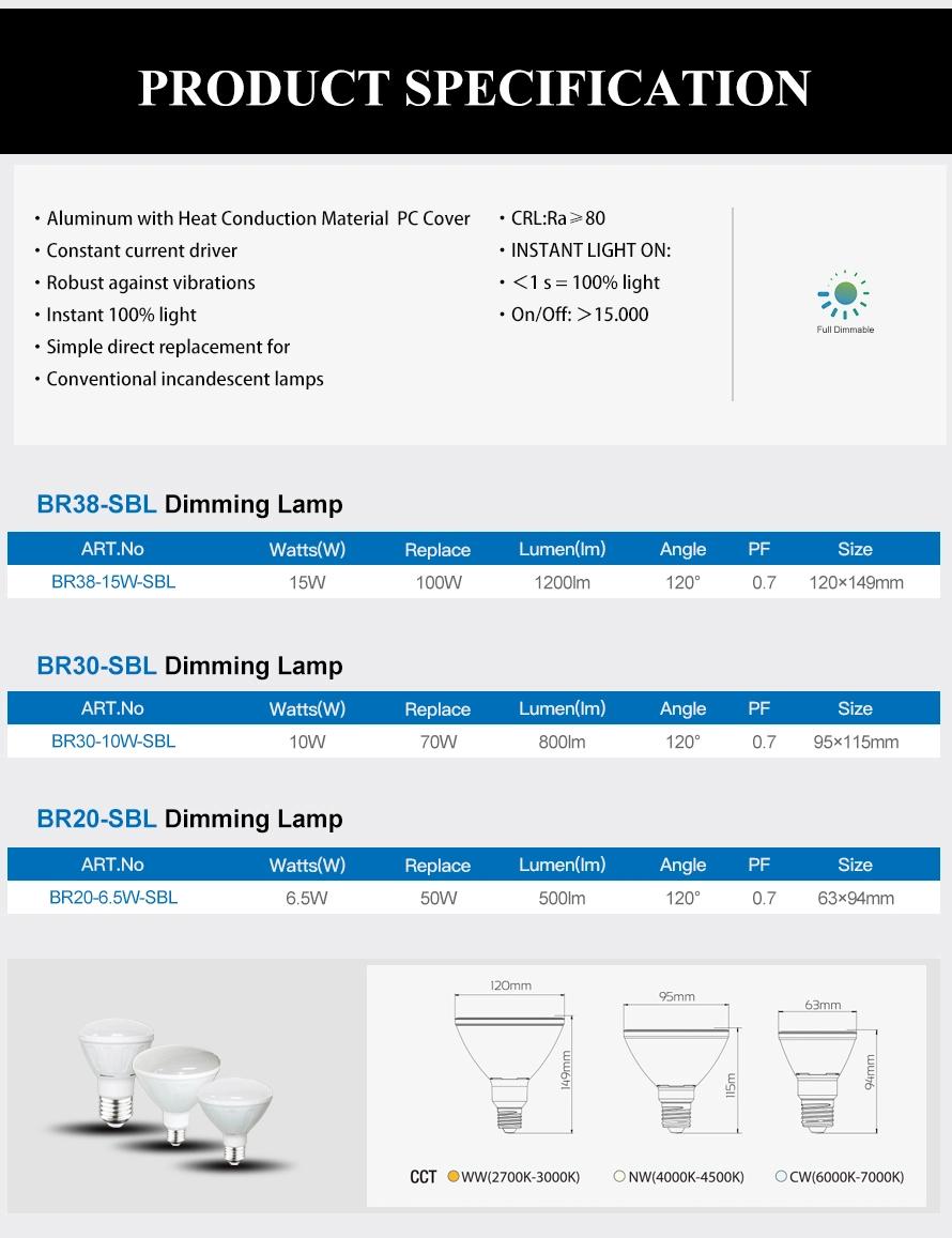 Br30 LED Dimming Bulb