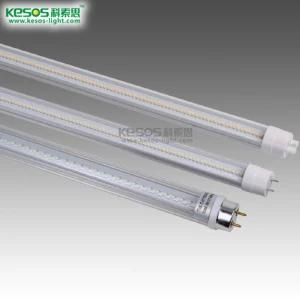 T8 LED Tube Light