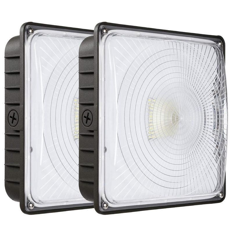 60W 80W 100W LED Canopy Light for Gas Station Stadium Metro Station Supermarket Lighting